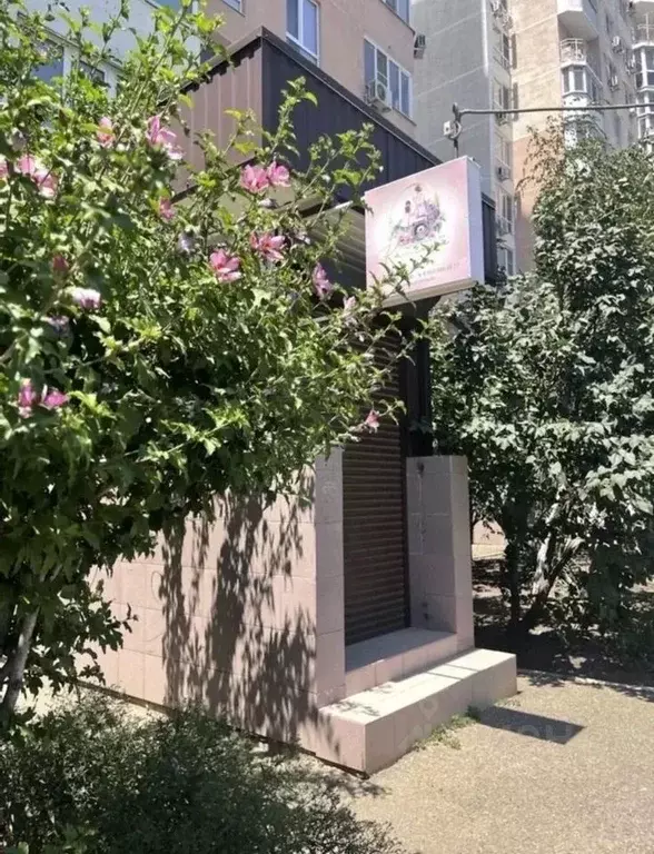Помещение свободного назначения в Краснодарский край, Краснодар ул. ... - Фото 1