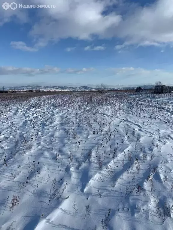 Участок в Иволгинский район, сельское поселение Нижнеиволгинское, ДНТ ... - Фото 2