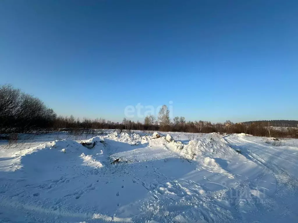 Участок в Кемеровская область, Ленинск-Кузнецкий пер. Пригородный ... - Фото 1