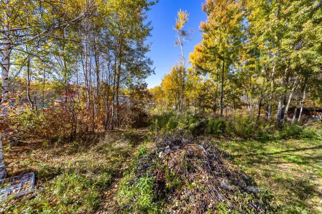 Участок в Хабаровский край, Хабаровск Фронтовик СНТ,  (7.0 сот.) - Фото 1