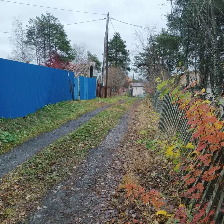 Участок в Архангельская область, Приморский муниципальный округ, ... - Фото 2