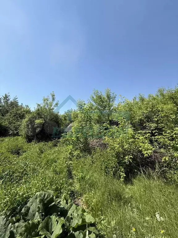 Участок 8,3 сот. (ИЖС) - Фото 1