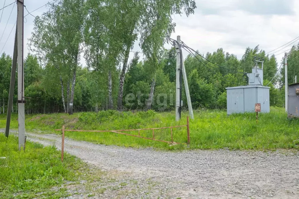 Участок в Новосибирская область, Новосибирский район, Барышевский ... - Фото 0