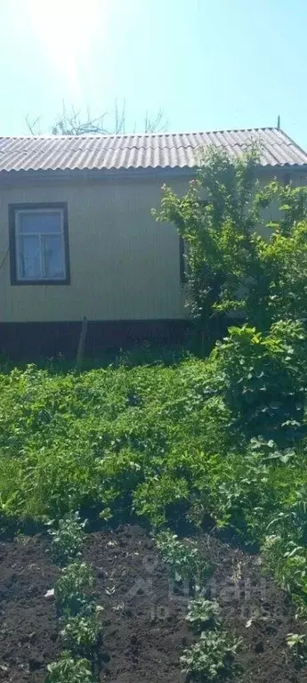 Дом в Алтай, Горно-Алтайск ул. Фурманова (18 м) - Фото 1