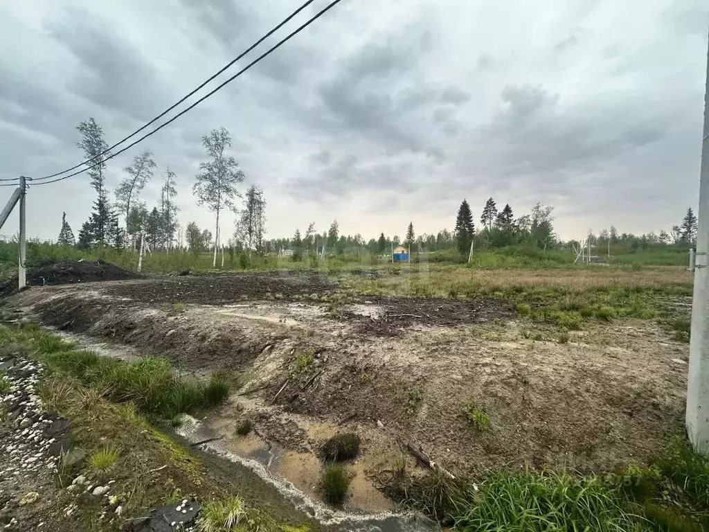 Участок в Ленинградская область, Всеволожский район, Агалатовское ... - Фото 1