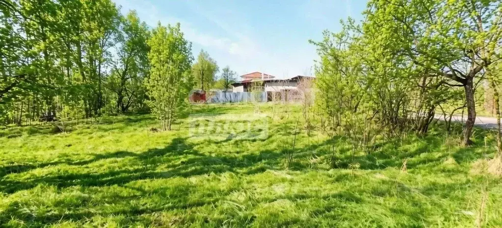 Участок в Московская область, Дмитров Березка СНТ, 4 (8.7 сот.) - Фото 2