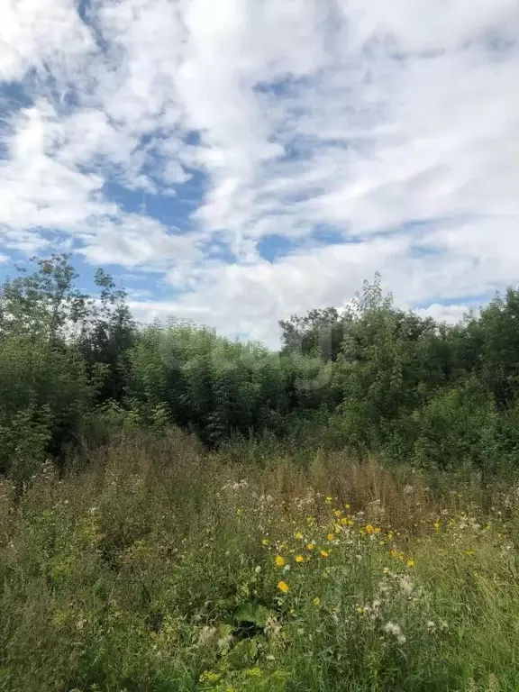 Участок в Свердловская область, Талицкий городской округ, пос. ... - Фото 0