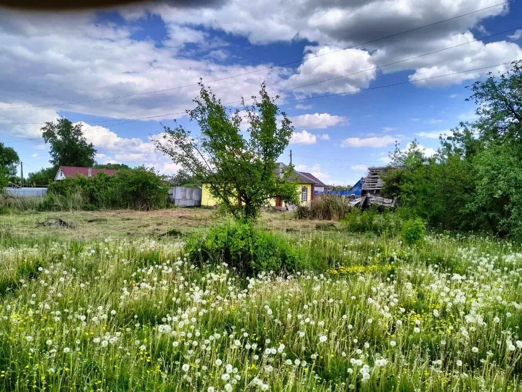 Дом в Курская область, Советский район, Кшенский рп Садовая ул., 55 ... - Фото 2