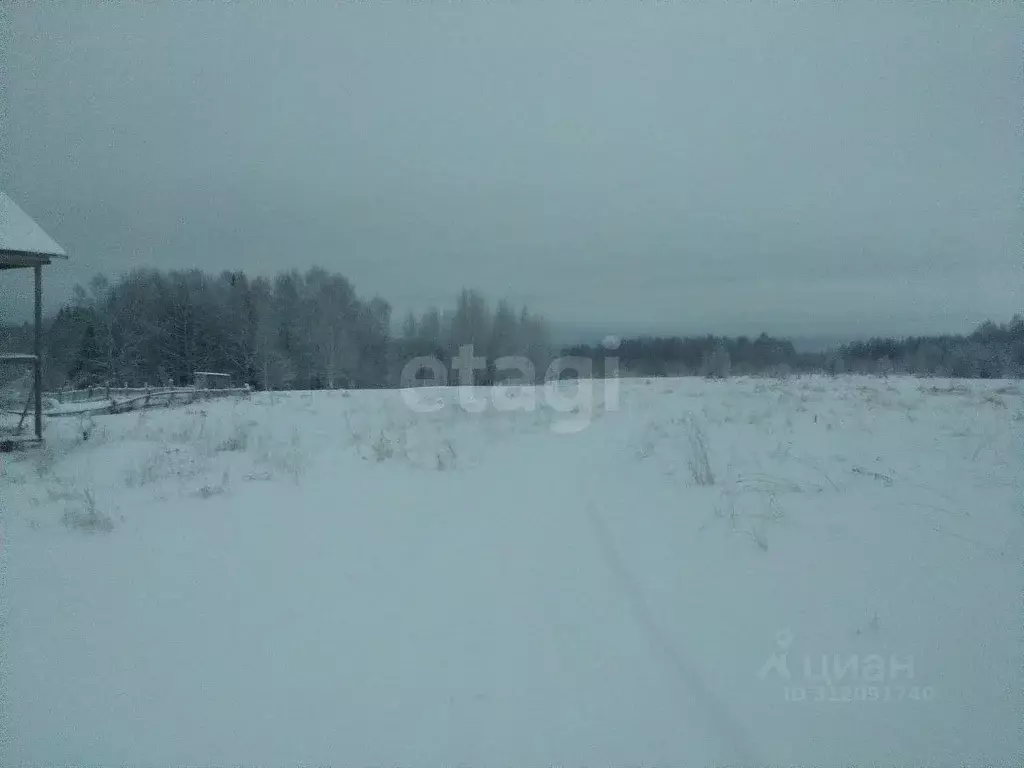 Участок в Коми, Сыктывдинский район, Зеленец муниципальное ... - Фото 0