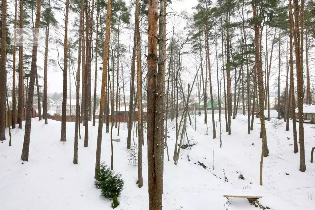 Участок в Ленинградская область, Выборгский район, Полянское с/пос, ... - Фото 2