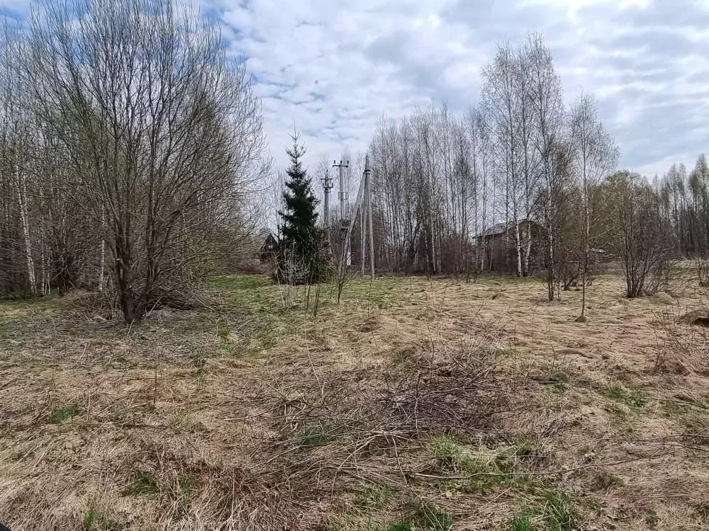 Участок в Тверская область, Калязинский муниципальный округ, д. ... - Фото 2