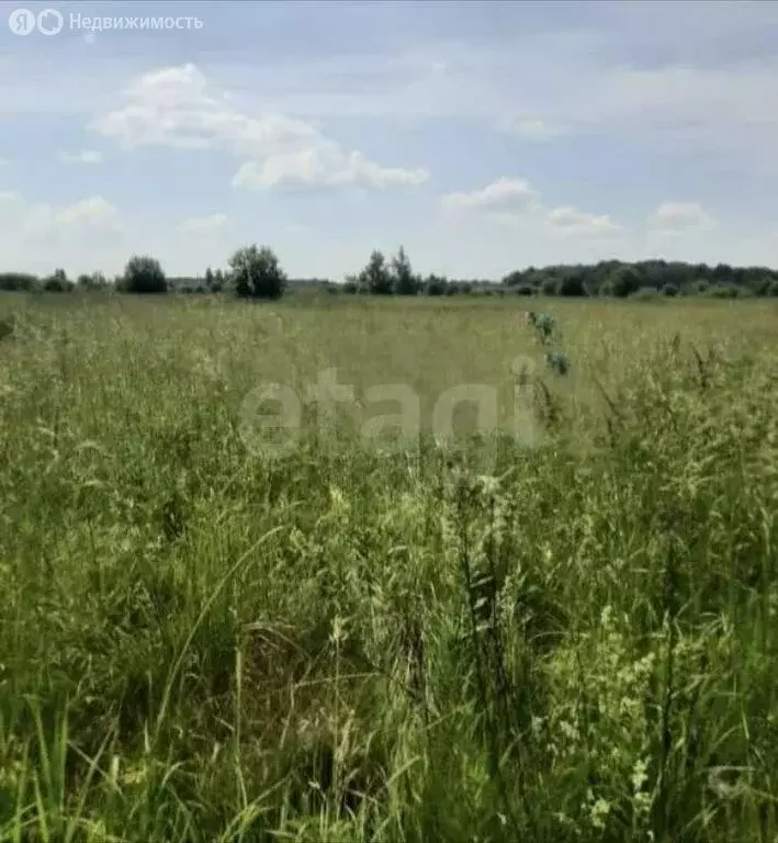 Участок в Корнилово, микрорайон Зелёная Долина-3 (8.07 м) - Фото 1