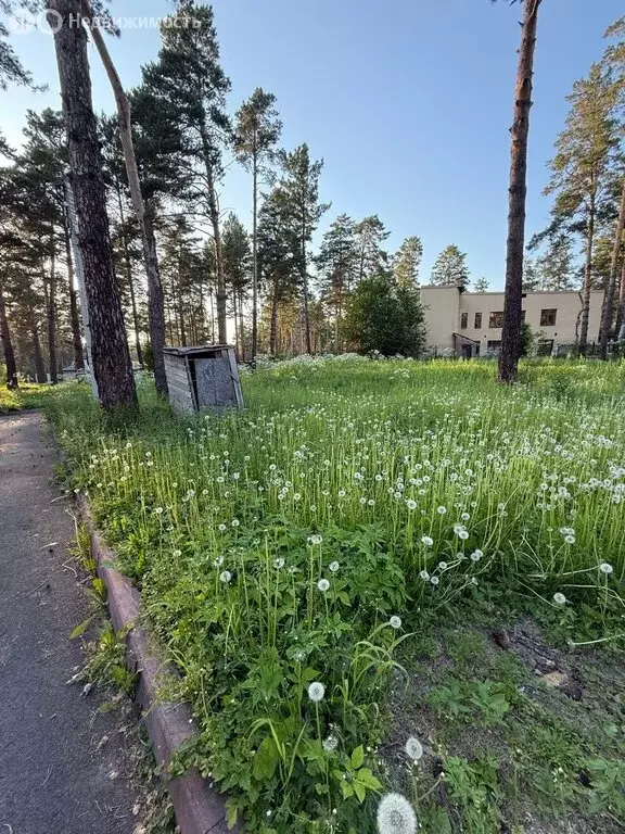 Участок в село Елыкаево, Сосновая улица (12 м) - Фото 1