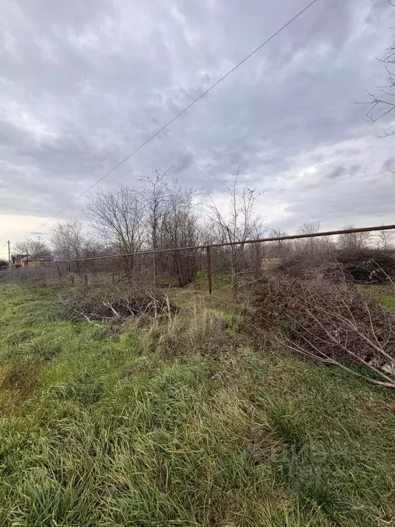 Участок в Ставропольский край, Новоалександровский муниципальный ... - Фото 2