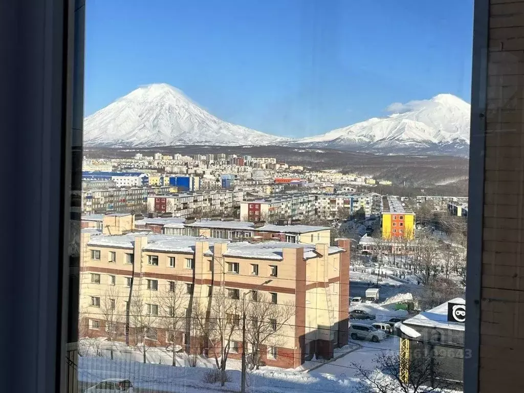 1-к кв. Камчатский край, Петропавловск-Камчатский просп. 50 лет ... - Фото 1