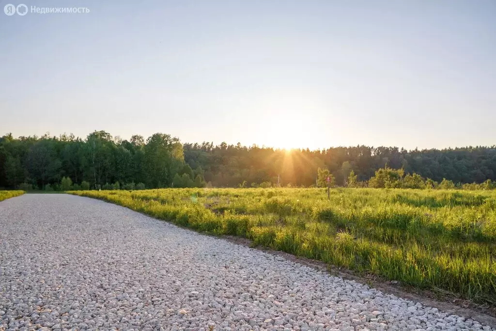 Участок в Московская область, городской округ Ступино (8.5 м) - Фото 1