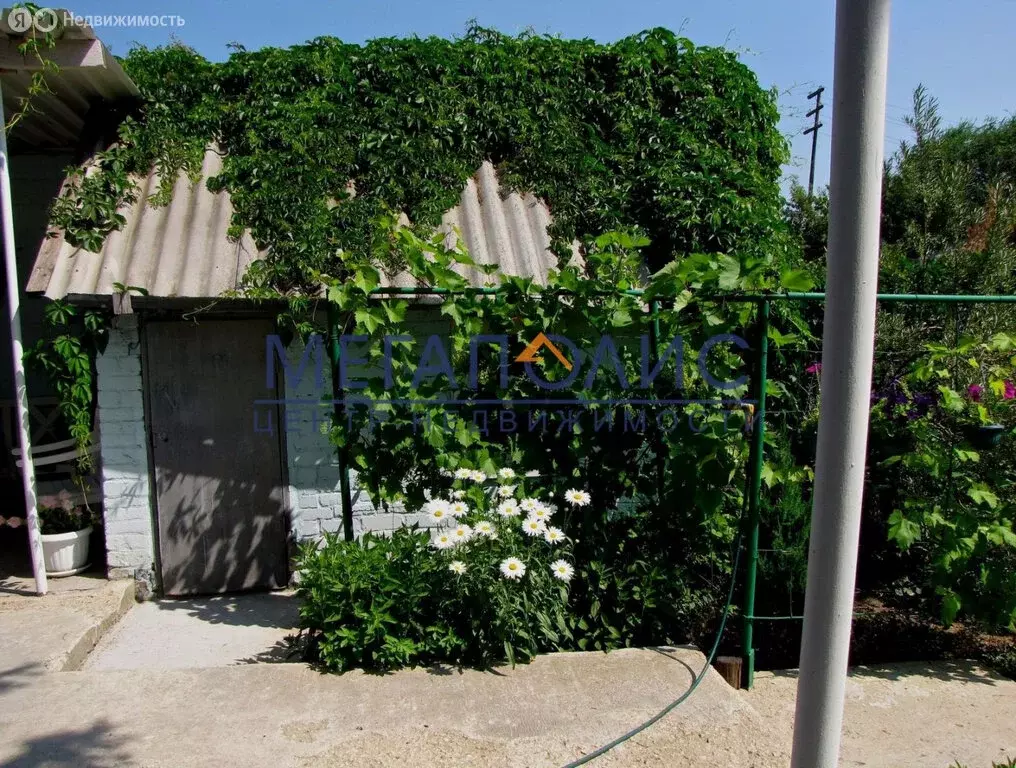 Дом в Балаково, улица Садовые Выселки, 39 (46.4 м) - Фото 2