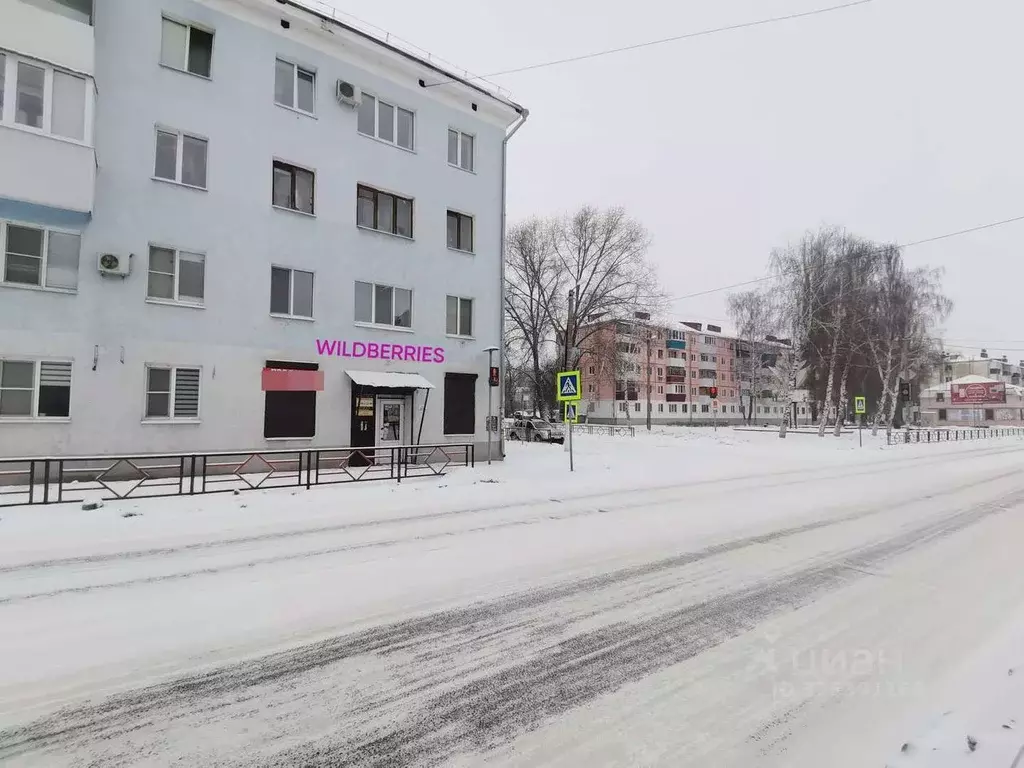 Помещение свободного назначения в Самарская область, Чапаевск ... - Фото 2