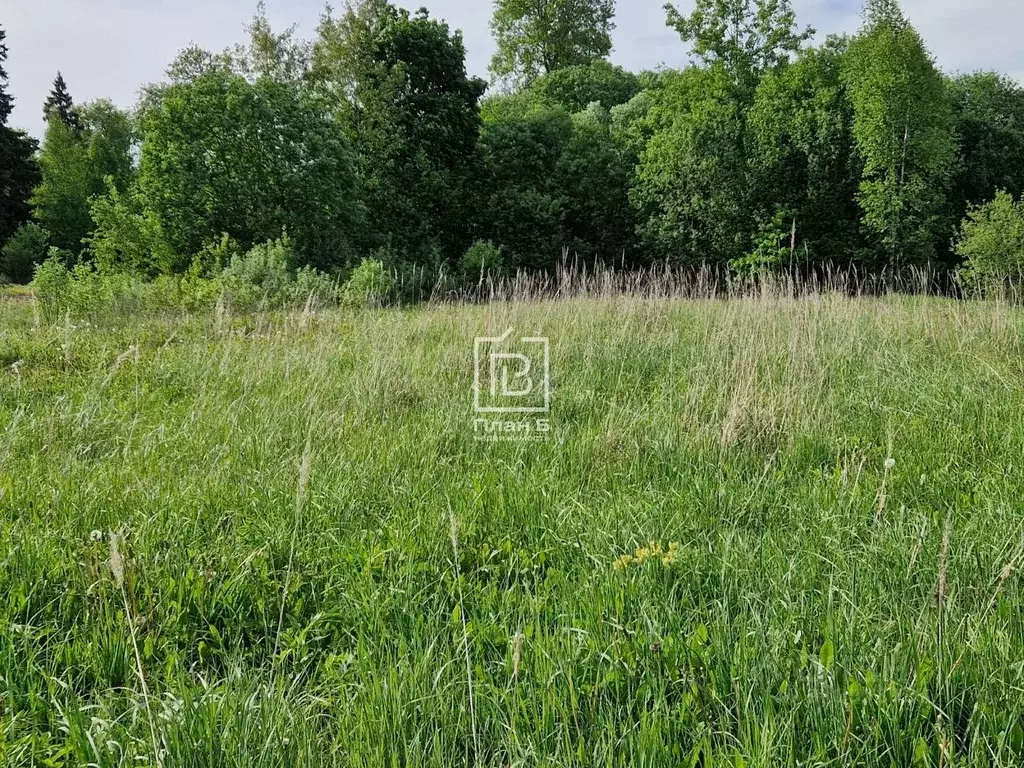 Участок в Калужская область, Ферзиковский район, Ястребовка с/пос, д. ... - Фото 2