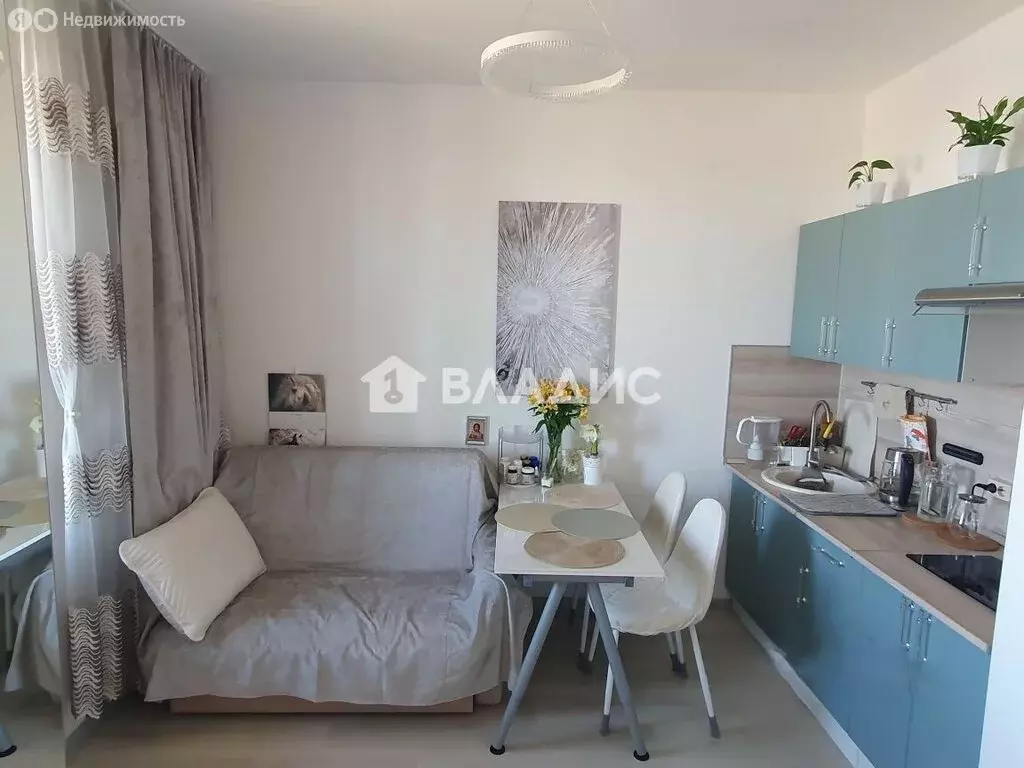 Квартира-студия: Мурино, Ручьёвский проспект, 9 (30 м) - Фото 2