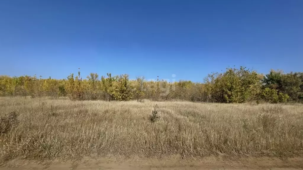 Участок в Саратовская область, Энгельсский район, Красноярское ... - Фото 0