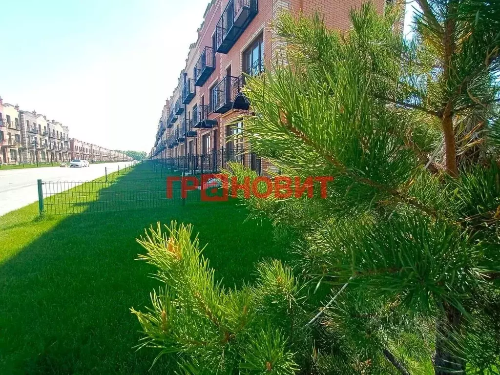 Таунхаус в Новосибирская область, Новосибирский район, Мичуринский ... - Фото 1