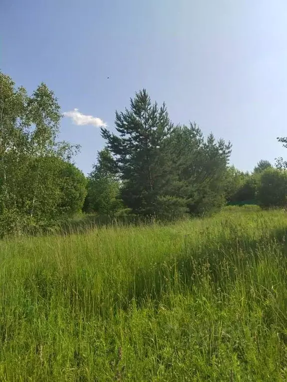 Участок в Московская область, Коломна городской округ, д. Солосцово  ... - Фото 0