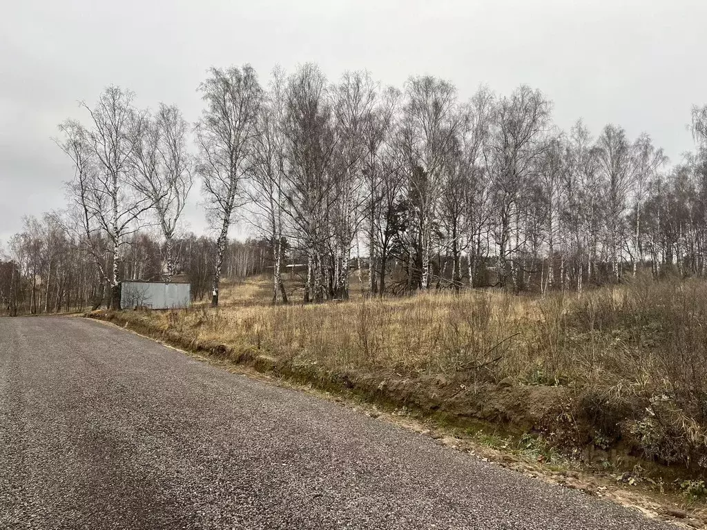 Участок в Московская область, Ступино городской округ, с. Старая Ситня ... - Фото 0