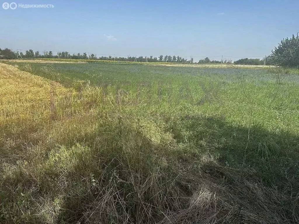 Участок в Первомайское сельское поселение (6 м) - Фото 1