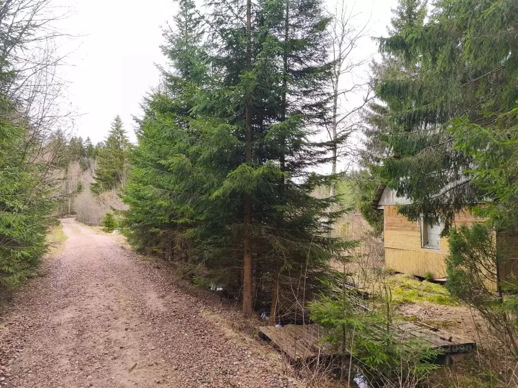 Участок в Ленинградская область, Выборгский район, Приморское ... - Фото 1