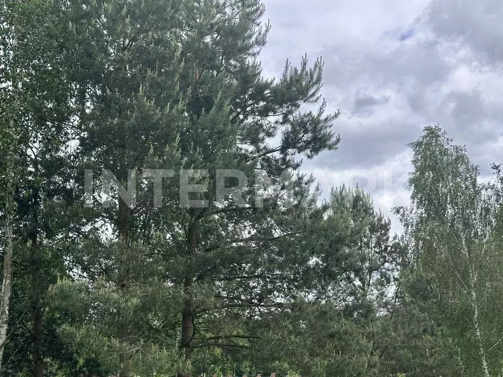 Участок в Московская область, Красногорск городской округ, д. ... - Фото 1