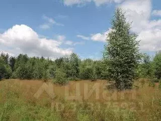 Участок в Тюменская область, Тюменский муниципальный округ, с. Кулига ... - Фото 1