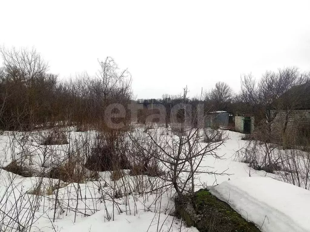 Участок в Белгородская область, городское поселение посёлок Чернянка, ... - Фото 1