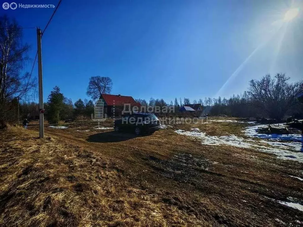 Участок в Новгородская область, Крестецкий муниципальный округ, ... - Фото 1