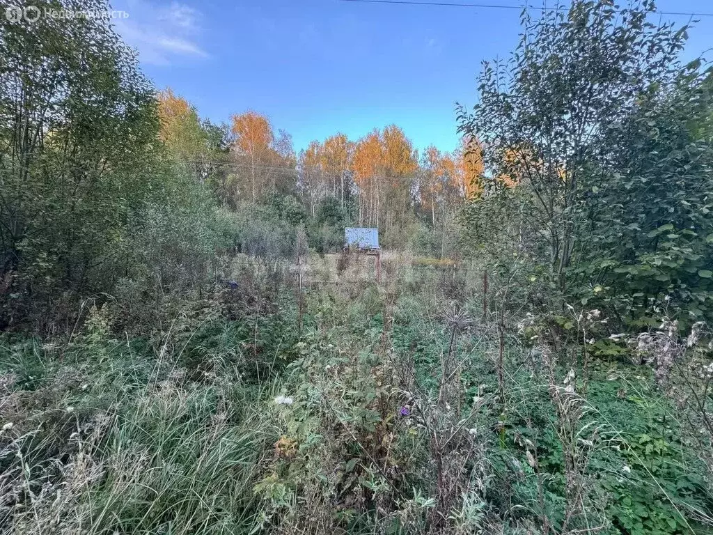 Участок в Московская область, городской округ Подольск, деревня ... - Фото 1