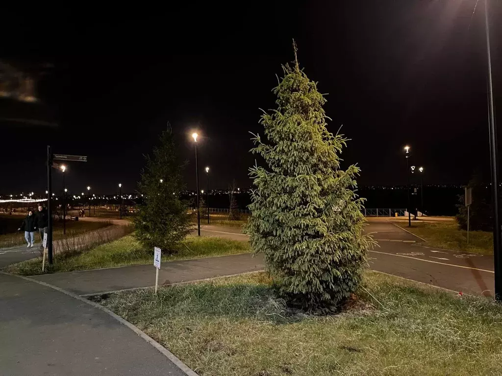 Студия Челябинская область, Челябинск ул. 2-я Эльтонская, 73 (24.0 м) - Фото 2