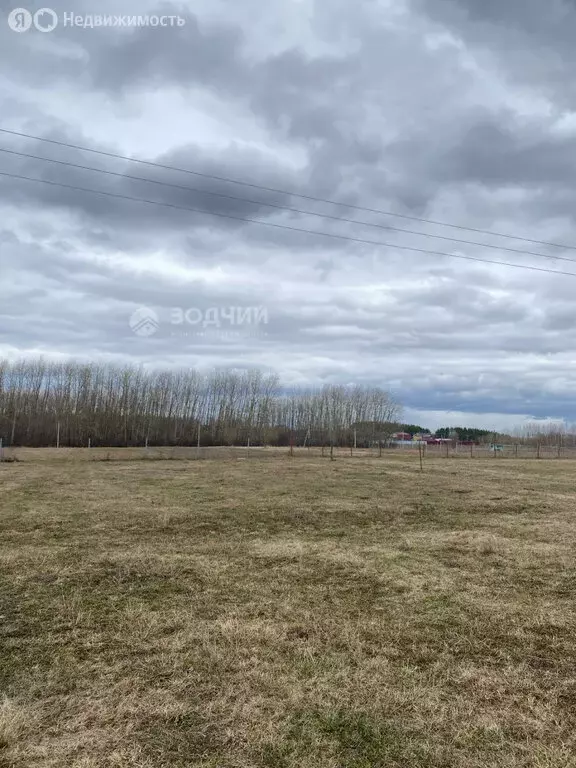 Участок в Чувашская Республика, Чебоксарский муниципальный округ, ... - Фото 1