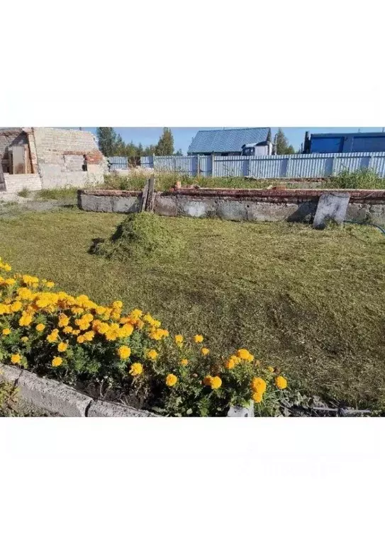 Участок в Челябинская область, Копейск Курочкино-1 СНТ, 42 (8.48 сот.) - Фото 1