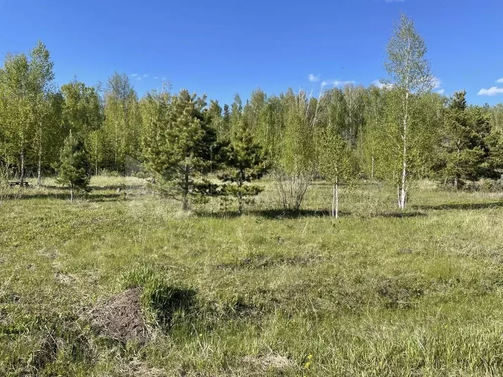 Участок в Тюменская область, Тюмень Велижанский тракт, 7-й км, 8 (7.0 ... - Фото 1