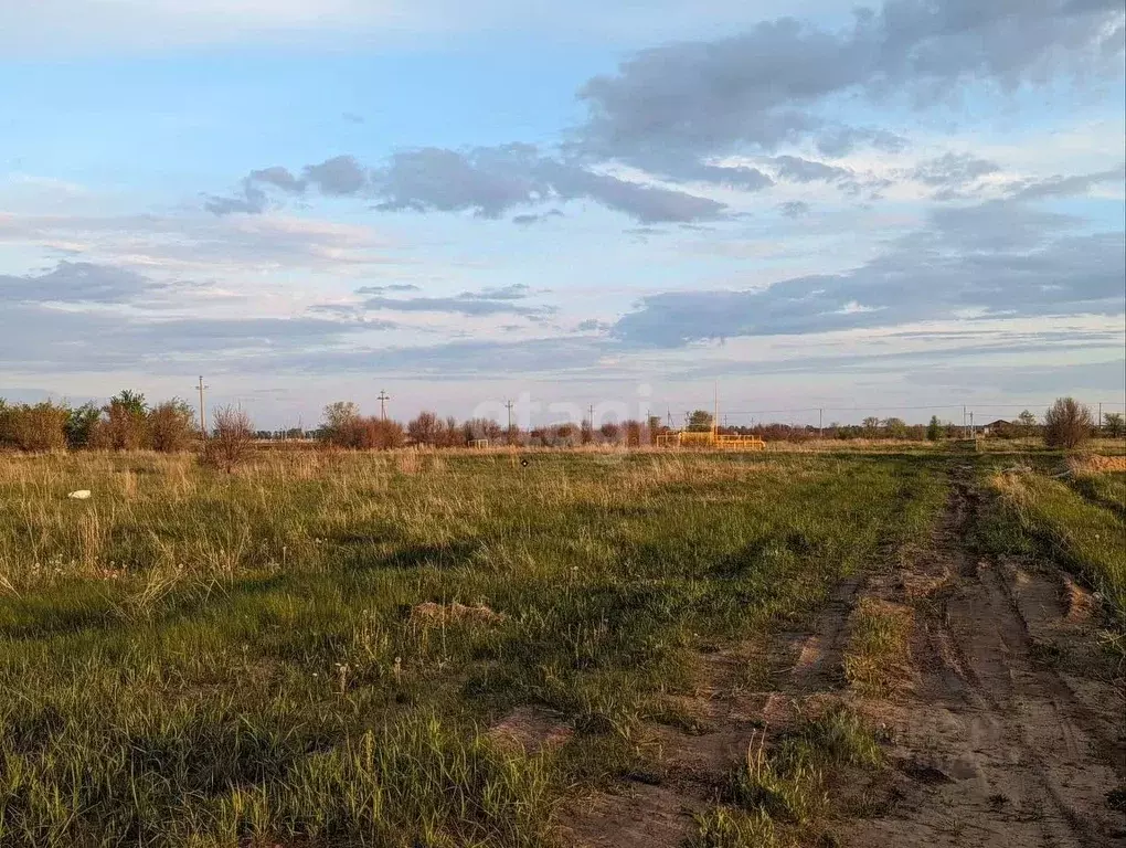 Участок в Самарская область, Ставропольский район, с. Ягодное  (10.0 ... - Фото 0