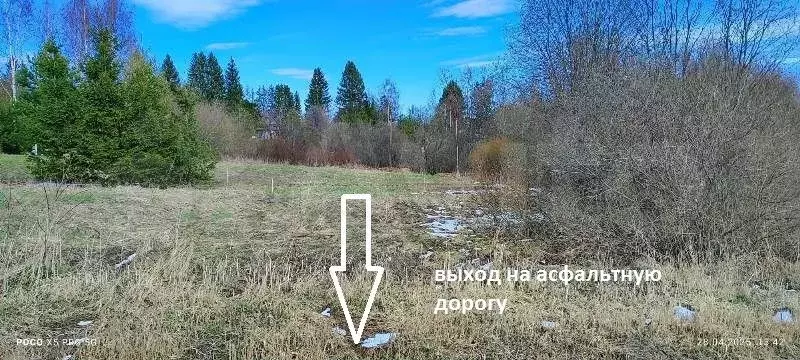 Участок 10 сот. (ИЖС) - Фото 1