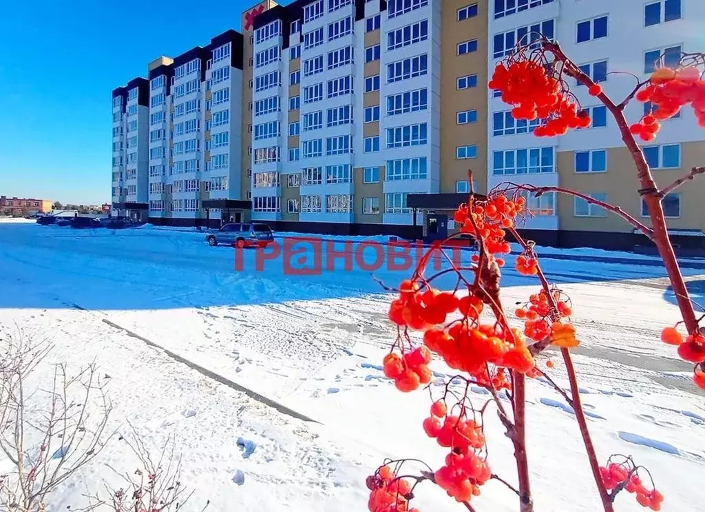 1-к кв. Новосибирская область, Новосибирский район, Мичуринский ... - Фото 0