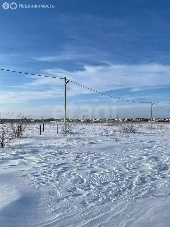 Участок в Курган, посёлок Левашово (18.5 м) - Фото 2