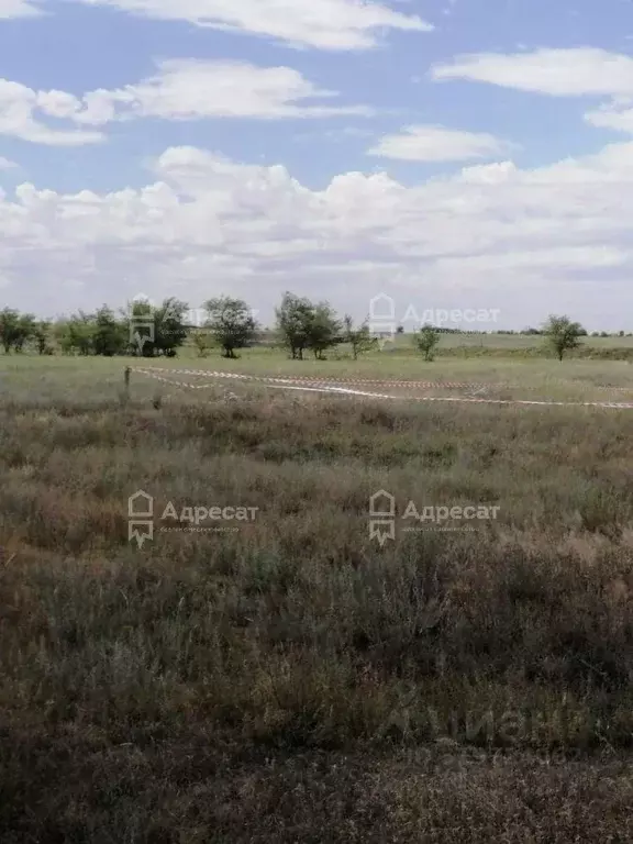 Участок в Волгоградская область, Светлоярский район, Дубовоовражное ... - Фото 0