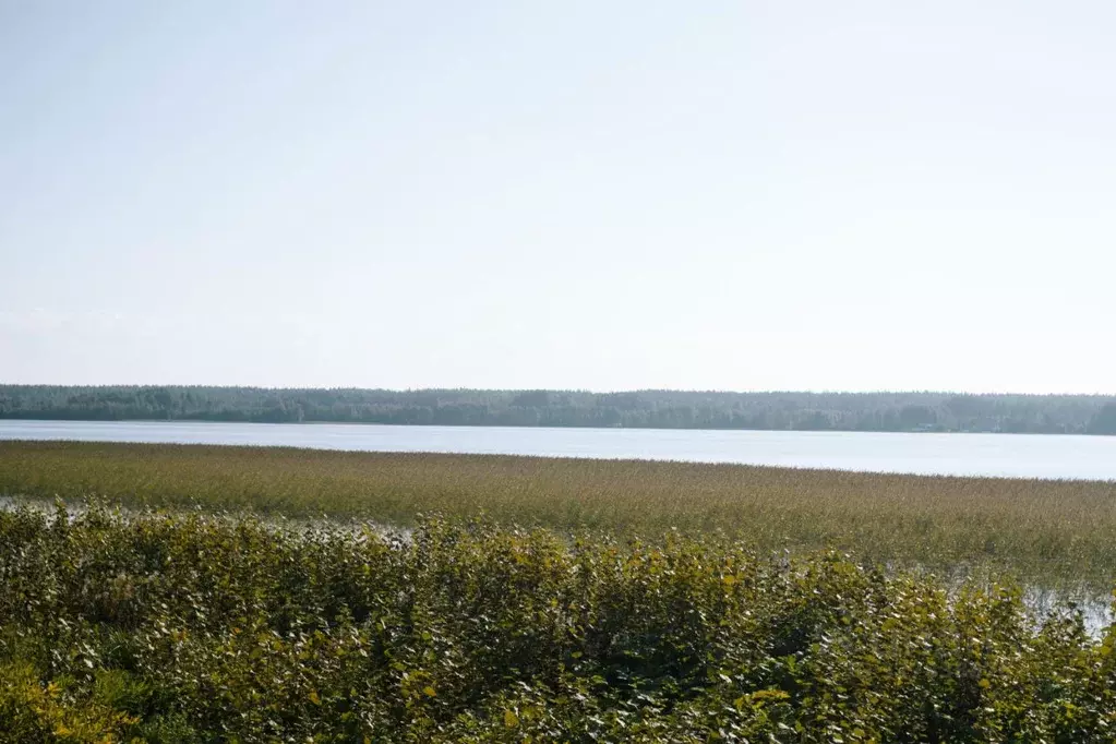 Участок в Ленинградская область, Выборгский район, Полянское с/пос, ... - Фото 2