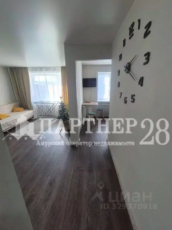 1-к кв. Амурская область, Свободный ул. 50 лет Октября, 9 (30.8 м) - Фото 2