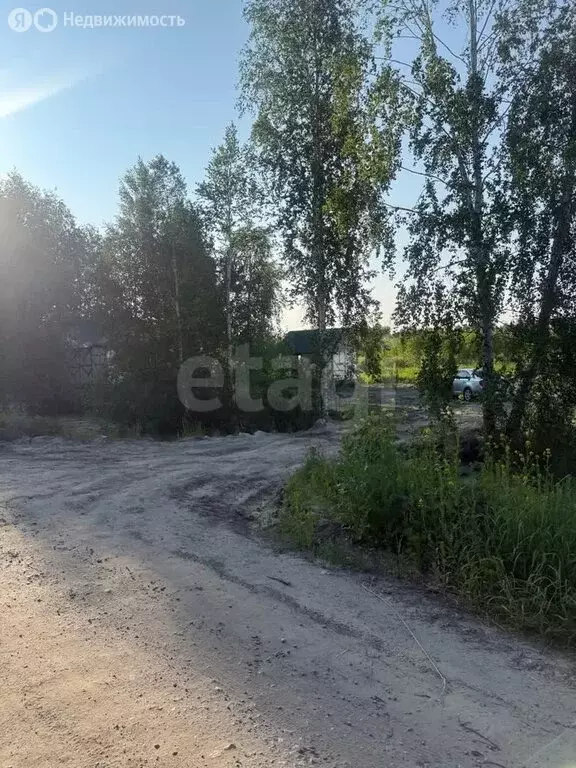 Участок в Нижнетавдинский район, СНТ Сочинские, 22-я линия (11 м) - Фото 1