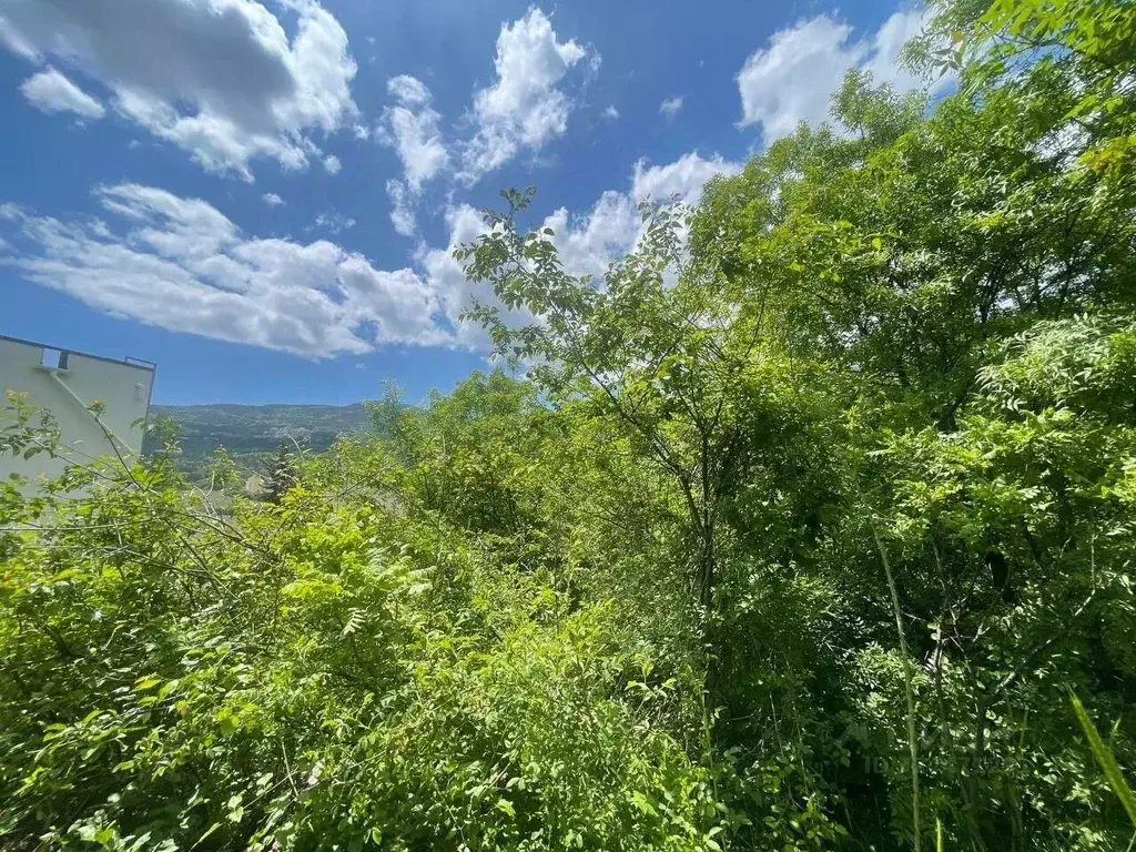 Участок в Крым, Ялта  (8.8 сот.) - Фото 1