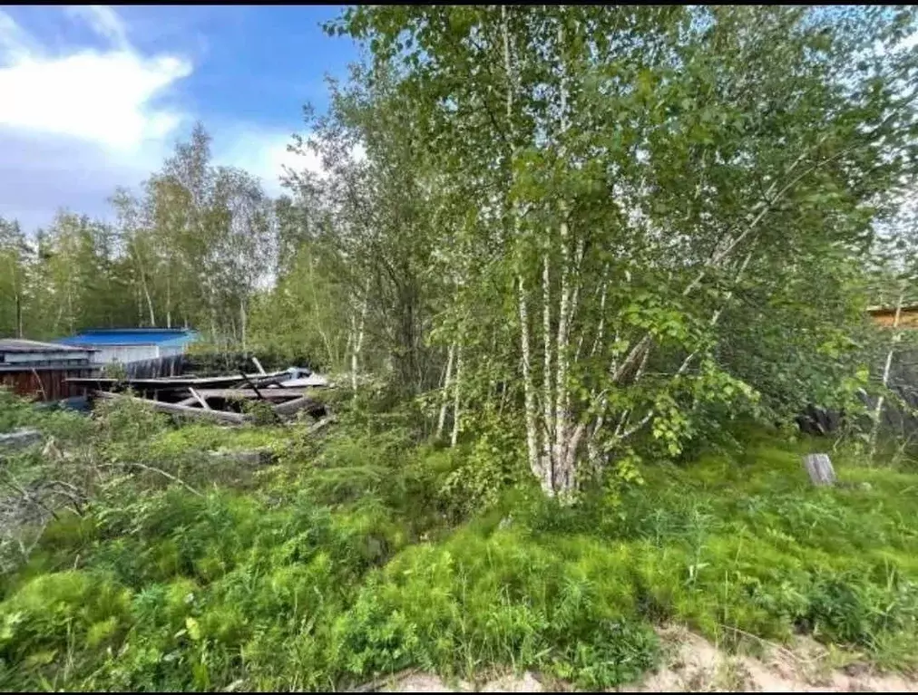 Участок в Саха (Якутия), Якутск городской округ, с. Маган  (6.0 сот.) - Фото 0