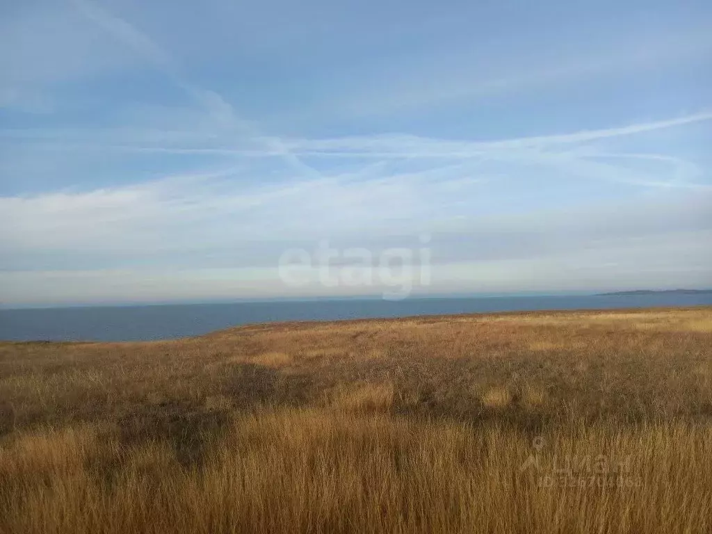 Участок в Крым, Ленинский район, Семисотское с/пос, с. Каменское ул. ... - Фото 1